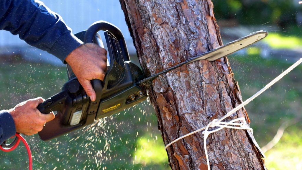 Duluth Tree Service - Tree Removal